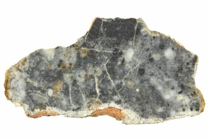 Lunar Meteorite ( g) Slice - Bechar #360562